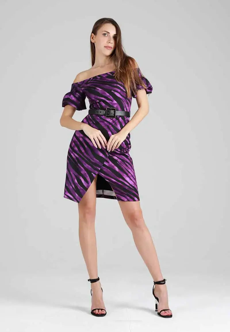 Zebra Skin Mini Dress with Belt